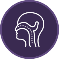 ENT & Head–Neck Surgery