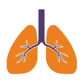 Respiratory