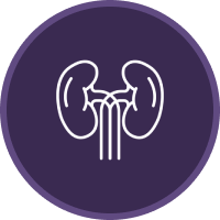 Renal Sciences & Kidney Transplant